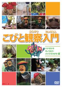 ���тƊώ@����@�n�i�K�V���@�L�m�R�r�g�@�o�C�u�X�}�_����