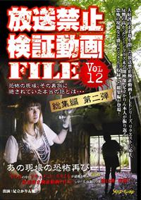 �����֎~���ؓ���FILE Vol.12 ���W�ҁ@���e