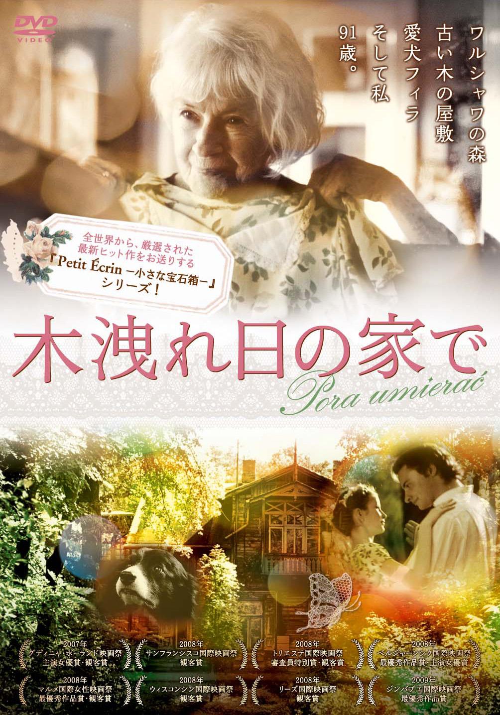 木洩れ日の家でのサムネイル画像