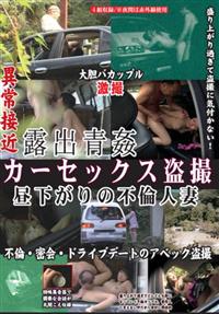 露出青姦　カーセックス盗撮の画像