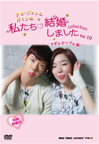 �`���E�O�H���ƃK�C���̎������������܂��� collection