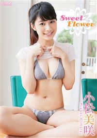 �r���������@�e����������