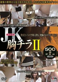 ｊｋ胸チラ５００分２枚組２の画像