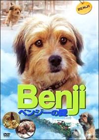 �x���W�[�̈�