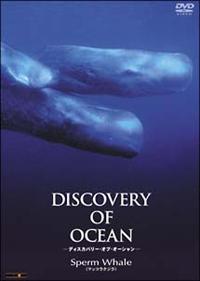 �c�����������������@�����@�n���������|�f�B�X�J�o���[�E�I�u�E�I�[�V�����|�@�V