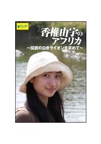 ���ŗR�F�̃A�t���J�`�`���̔������C�I�������߂ā`