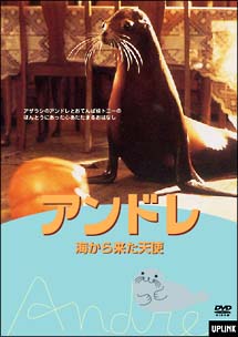 ティナ・マジョリーノ主演】アンドレ／海から来た天使 | 宅配DVD