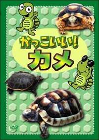 �����������I�J��