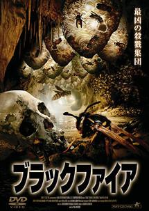 ブラックファイアのサムネイル画像