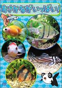 �������Ȃ������ς��I