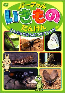 バーチャルいきもの探検ビデオシリーズ～こんちゅうかん編