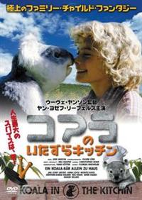 �R�A���̂�������L�b�`��