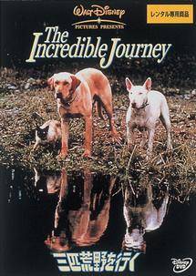 三匹荒野を行くの出演者・配信先