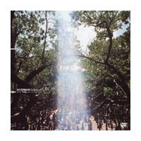 �r���������@�����@�n