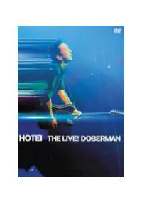 布袋寅泰　　THE LIVE! DOBERMAN 布袋寅泰