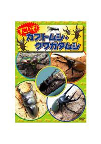 ���������I�J�u�g���V�E�N���K�^���V