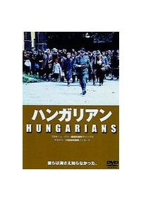 �n���K���A��