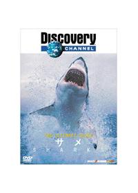 �s�����@�t���������������@�f���������@�T��