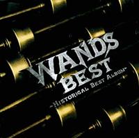 wands ベスト ジャケット 人気