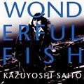 WONDERFUL FISH