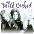 WILD ORCHID