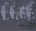 HEAVY GAUGE