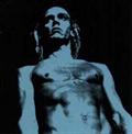 THE IGGY POP TRIBUTE-We Will Fall