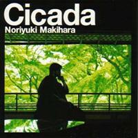 Cicada(�ʏ��)