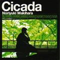 Cicada(ʏ)