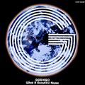 GODIEGO`WHAT A BEAUTIFUL NAME