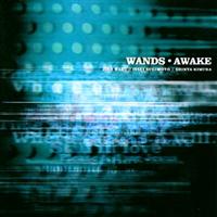 AWAKE