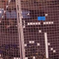 unknown possibility vol.2