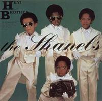 Hey! �u���U�[