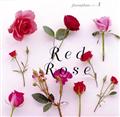 Ԏԁ`Red Rose`