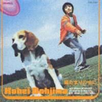 �z���܂�̒���