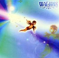 ���̃J�P��