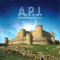 A.P.J.(Acoustic Progressive jazz)