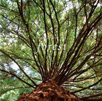 natural garden vol.2 forest �����A�� �u�i�����т̐X