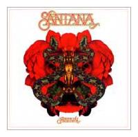 �t�F�X�e�B�o��