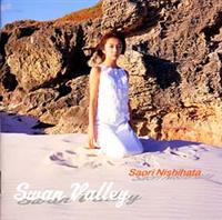 Swan Valley