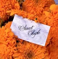 �v���o�̃t�B�W�[�`�x�X�g�E�I�u�E�X�E�B�[�g�E�s�[�v��