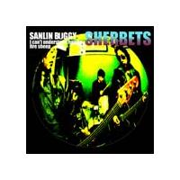 �yMAXI�zSANLIN BUGGY(�}�L�V�V���O��)