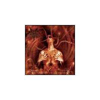 �f�B�A�{���X�E�C���^���A��