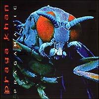 �v���K�}�e�B�b�N