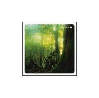 ���̃A���}�e���s�[ �X����̑��蕨