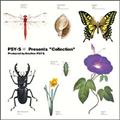 Collection(WPbgdl)