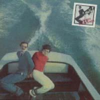 ���̎��Ȍ���(�v���p�K���_)