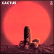 Cactus(WPbgdl)/JN^X̉摜EWPbgʐ^