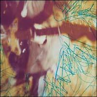 FREAKS OF GO GO SP 2