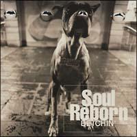 Soul Reborn